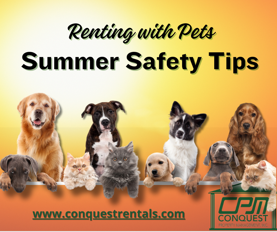 Summer Pet Safety